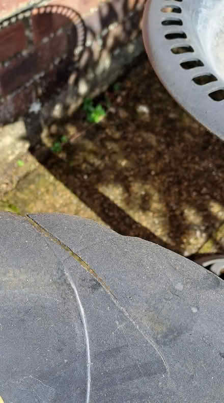 Photo of free Plastic bird baths (Harefield SO19) #2