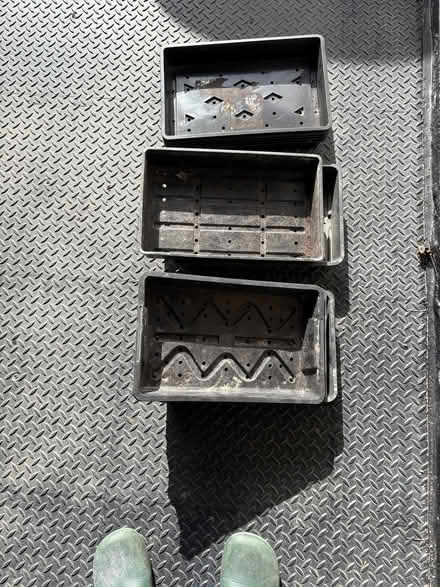 Photo of free Seed Trays (Warminster BA12) #1