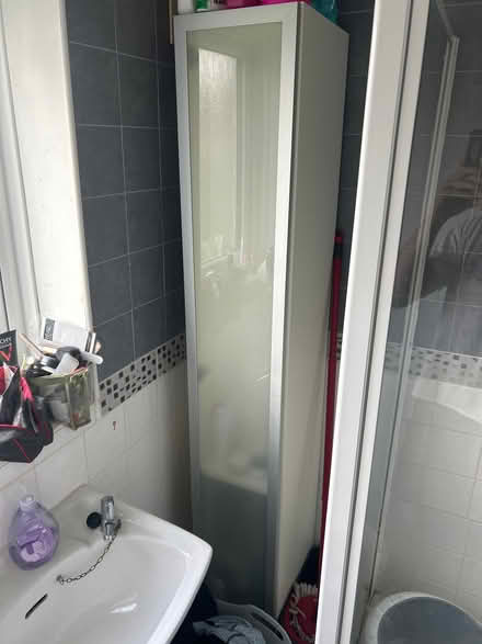 Photo of free Bathroom Cupboard (Teams NE8) #1