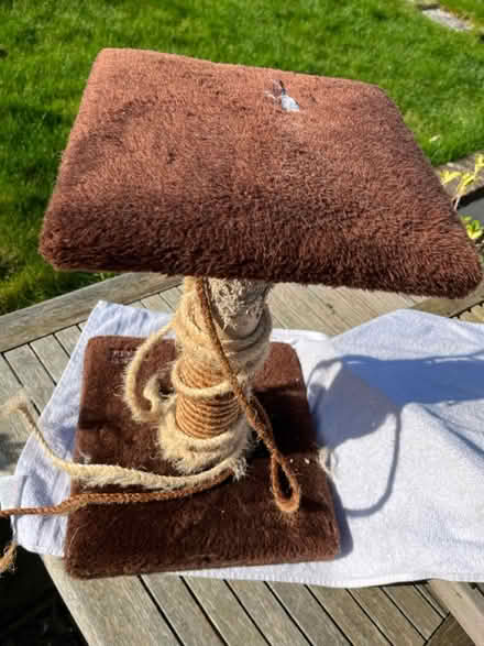 Photo of free Cat scratching post - well used (Steyning BN44) #3