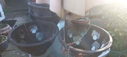 Photo of free 5 large plastic hanging baskets (Goldington MK41) #2