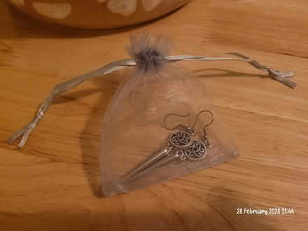 Photo of free Costume earrings (Moseley B13) #3