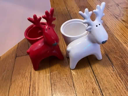 Photo of free Reindeer (Winter Hill) #1