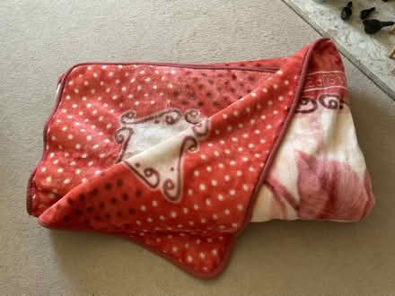 Photo of free Large heavy blanket (Ballards CR2) #1