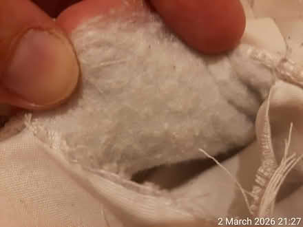 Photo of free Polyester filling for pet beds etc (Edgwarebury Lane) #1