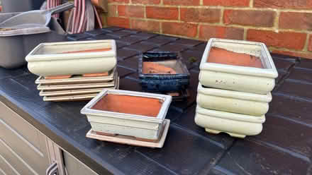 Photo of free Bonsai pots (Clanfield PO8) #1