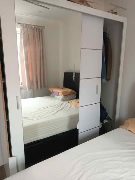 Photo of free to collect (Tn1) #3