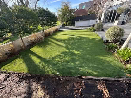 Photo of free Artificial lawn (CT5) #2