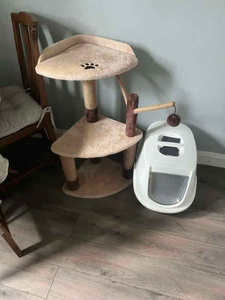 Photo of free Cat stuff (Horsforth LS18) #1