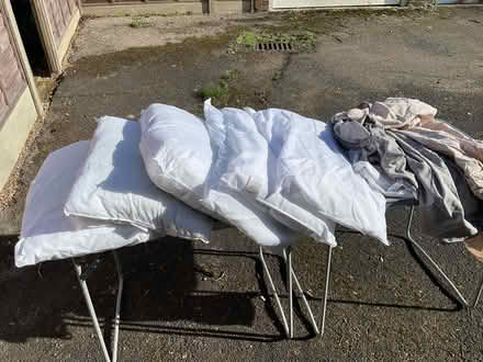 Photo of free Collection of Pillows (RG30 Tilehurst) #1