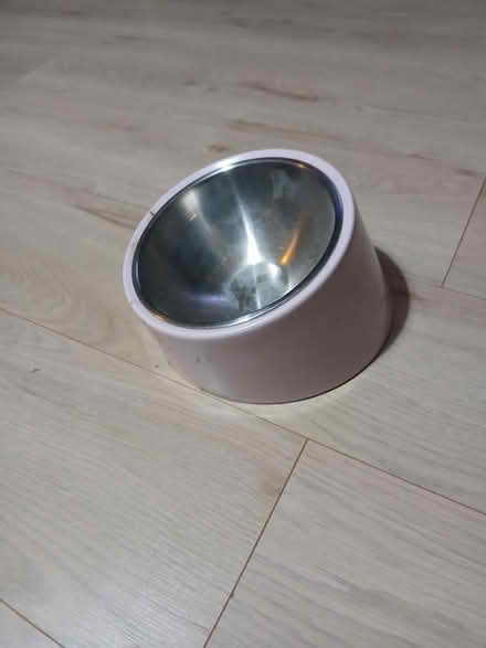 Photo of free Cat/small dog feeding bowl & bed (SE22) #2