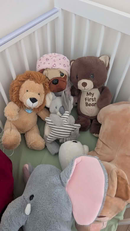 Photo of free Bags of clothes & shoes (Mill Hill, The Hale HA8) #4