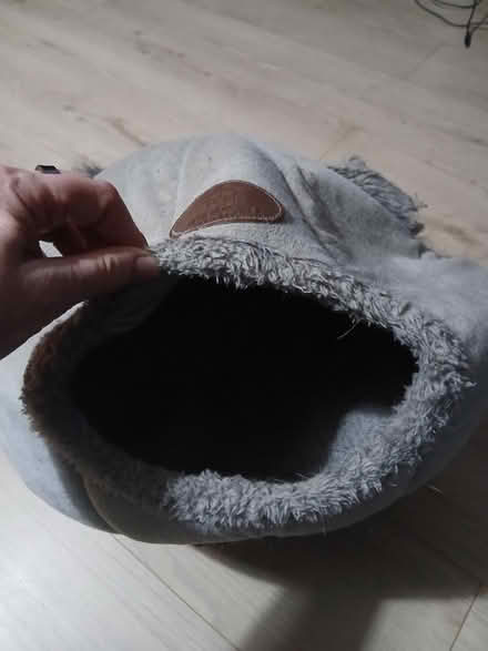 Photo of free Cat/small dog feeding bowl & bed (SE22) #3