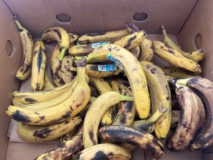 Photo of free Bananas (Lake City/Meadowbrook) #1