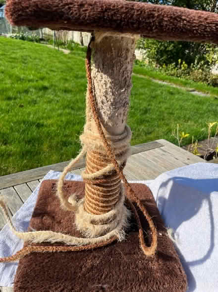 Photo of free Cat scratching post - well used (Steyning BN44) #1