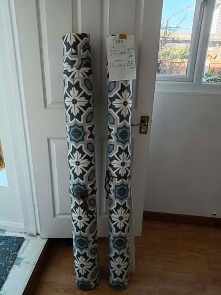 Photo of free Lino (Leigh Beck SS8) #1