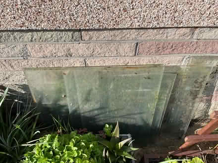 Photo of free Greenhouse (Worle BS22) #2