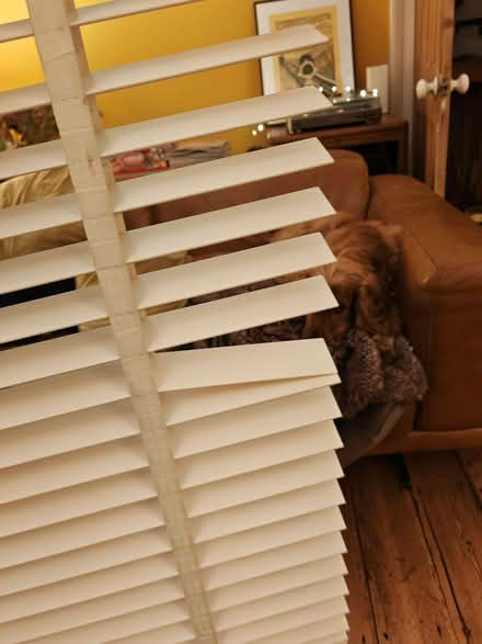 Photo of free White venetian blind with one broken slat (Upper Walthamstow E17) #2