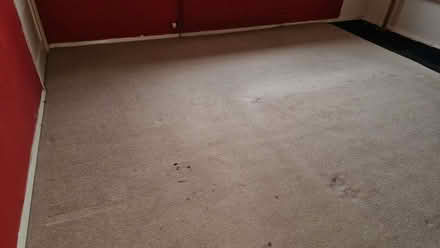 Photo of free Carpets (Conwy LL32) #2