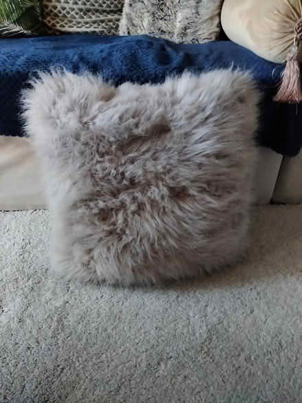 Photo of free Clear out (Headley KT18 6) #1