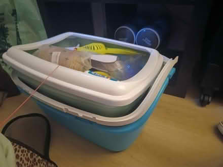 Photo of free Cat donation (Dublin 5) #3