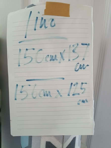 Photo of free Lino (Leigh Beck SS8) #2