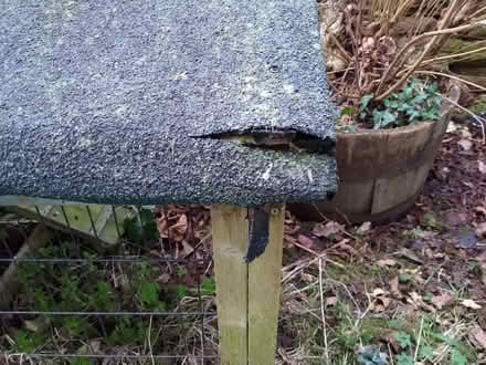 Photo of free Guinea pig/rabbit hutch (Cliburn CA10) #2