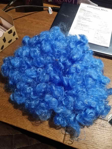 Photo of free Blue wig (Coldean BN1) #1
