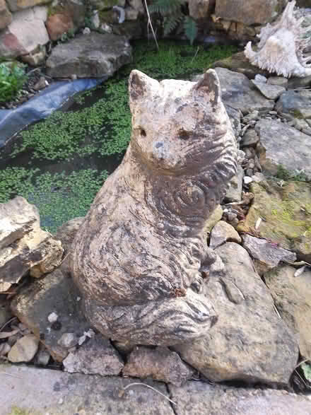 Photo of free Concrete cat garden ornament (Killamarsh S21) #1