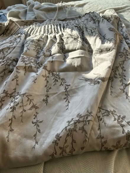 Photo of free Pair of grey lined curtains and tie backs (Moorside M28) #2