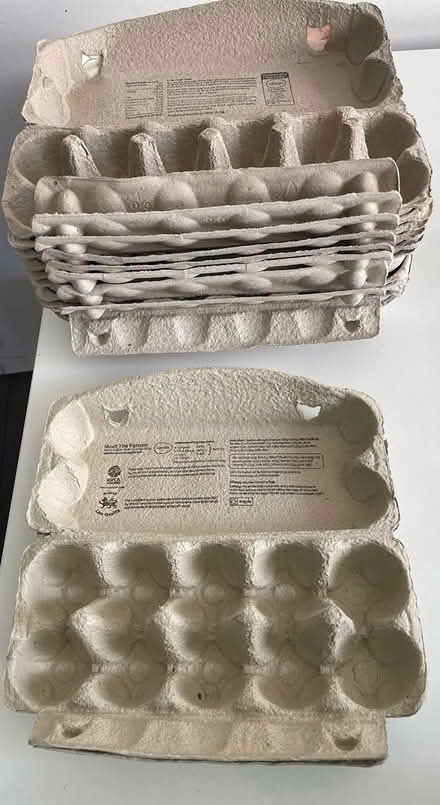 Photo of free Empty egg boxes (Bognor Regis PO21) #1