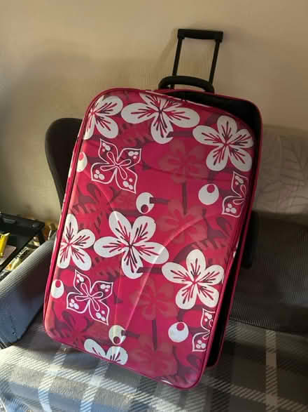 Photo of free suitcases various (Arbourthorne S2) #1