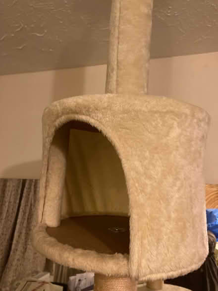 Photo of free Floor to ceiling cat tree (Glastonbury BA6) #1