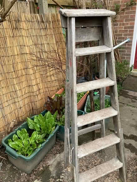 Photo of free Old,Solid wooden steeps (Glastonbury BA6) #1