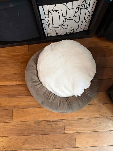 Photo of free Cat bed (Cricklewood) #1