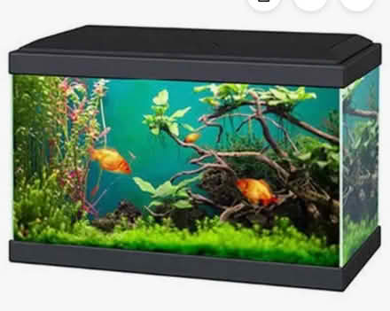 Photo of Small fish tank (Lazonby CA10) #1