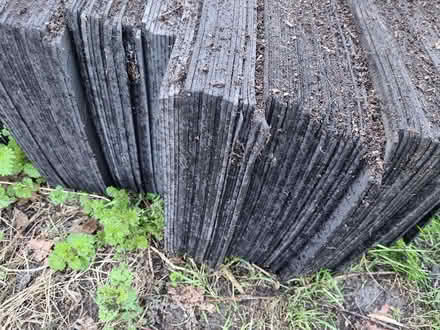 Photo of free Archery target (CM2 springfield, chelmsford) #3