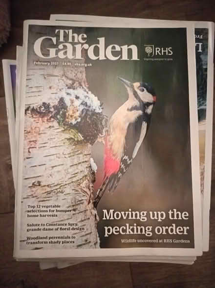Photo of free Gardening magazines (New Alresford SO24) #1