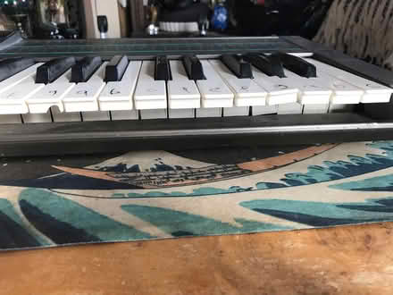 Photo of free MIDI keyboard (furze hill) #3