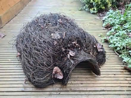 Photo of free Hedgehog house (Chorlton M21) #1