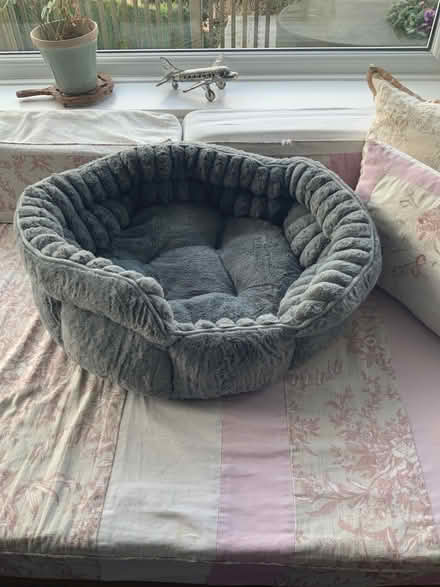 Photo of free Cat bed (Widcombe) #1