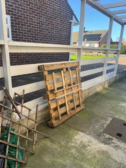 Photo of free Pallet (Wideopen NE13) #1