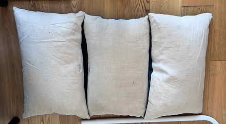 Photo of free Niki Jones feather cushions/pillows (G12 9RY - Hyndland) #2