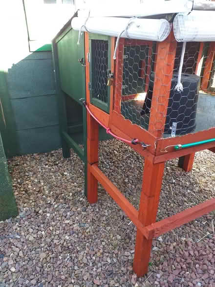 Photo of free Rabbit/Guinea Pig Hutch & Run (Stirling FK7) #2