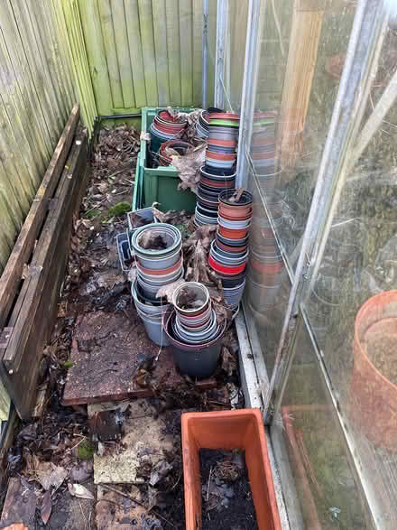 Photo of free Flowerpots (Horsham) #1