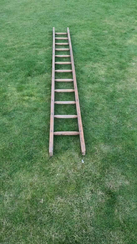 Photo of free Ladder (Ferring BN12) #1