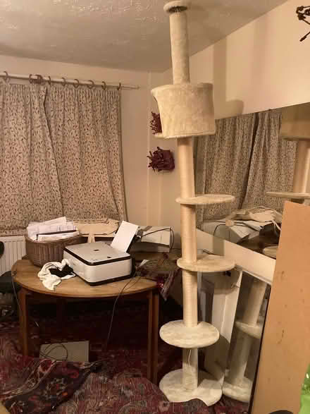 Photo of free Floor to ceiling cat tree (Glastonbury BA6) #3