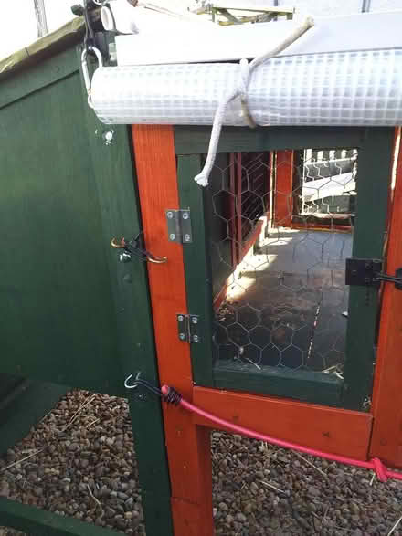 Photo of free Rabbit/Guinea Pig Hutch & Run (Stirling FK7) #4