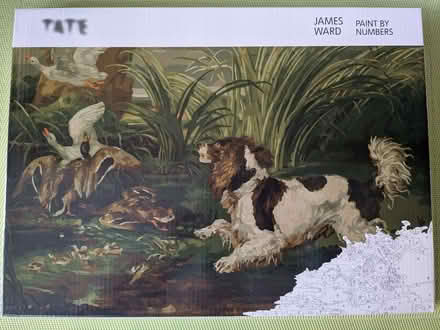 Photo of free New Paint by Numbers (Beulah Hill SE19) #1