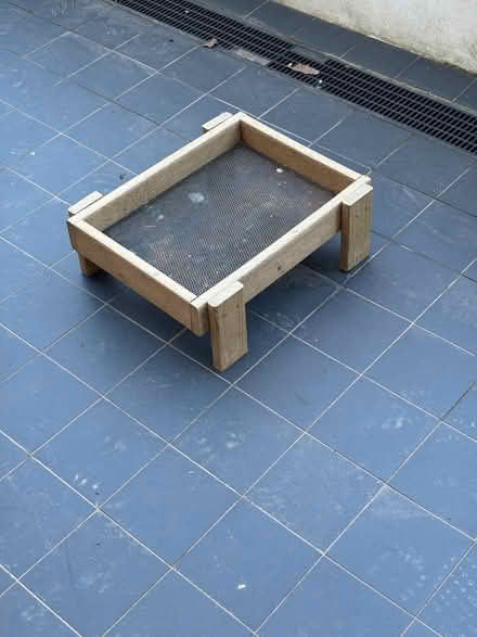 Photo of free Ground bird feeder (Ealing W13) #1